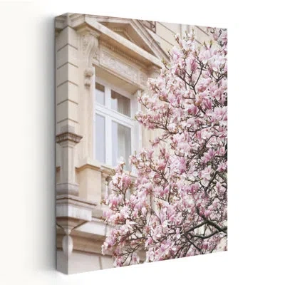 Trend Board Life Pink Spring Magnolias In Paris - Landscapes Photography France Magnolias Paris Art