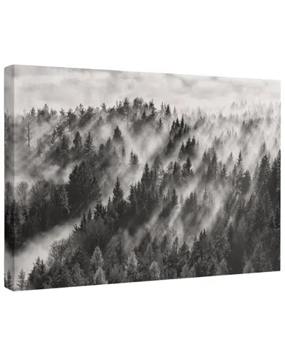 Trend Board Life Sundance Landscape Trees Modern Decor Canvas Art Print By Davorin Baloh In Black