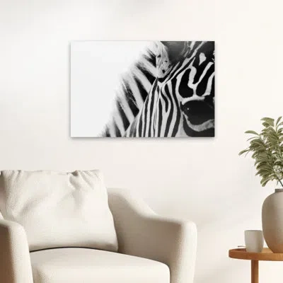 Trend Board Life Zebra Eye - Photography Animals Nature And Wildlife Zebras Art