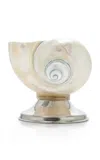 Tres J Shell Décor Bowl In Neutral