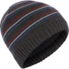 Trespass Ray Beanie Hat In Gray