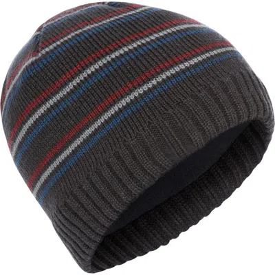 Trespass Ray Beanie Hat In Gray