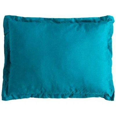 Trespass Snoozefest Travel Pillow In Transparent