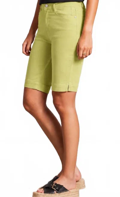 Tribal 5 Pocket Bermuda Shorts In Green