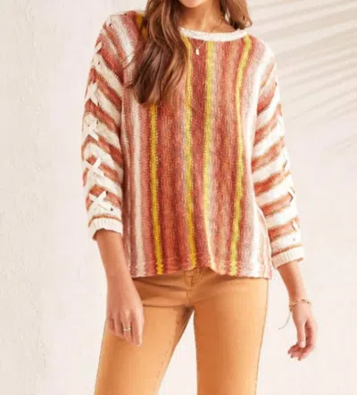 Tribal Cotton Knit Sweater In Brandy Multi In Brown