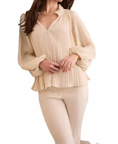 Tribal Pleated Ruffle Notch Collar Novelty Blouse In Color In Neutral