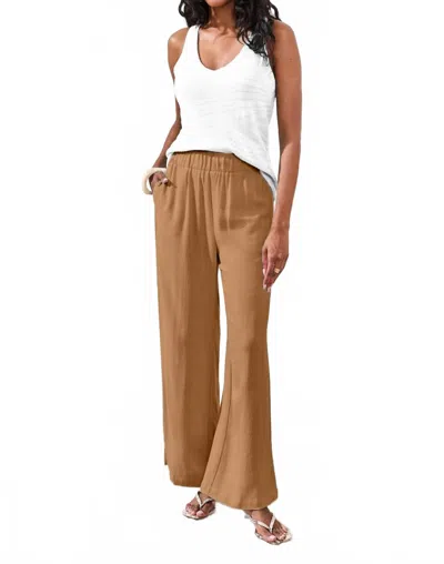 Tribal Pull On Ankle Pants In Chestnut In Pink