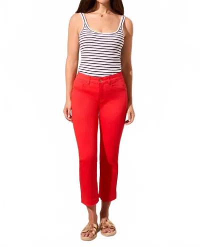 TRIBAL SOPHIA CURVY 25 INCH WITH RELEASED HEM FLARED JEANS IN BAYBERRY