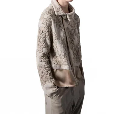 Tricot Chic Sweater Blouse In Champagne Taupe In Brown