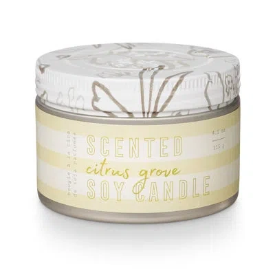 Tried & True Citrus Grove Candle In Multicolor