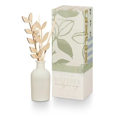 Tried & True Diffuser Eucalyptus Sage Candle In Gold,cream