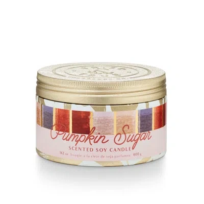 Tried & True Fall Pumpkin Sugar Candle In Multicolor