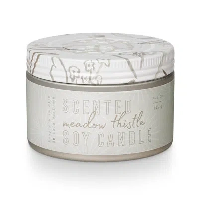 Tried & True Meadow Thistle Candle In Multicolor
