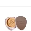 Trigwell Cosmetics Velvet Setting Powder 8g (various Shades) - Shade 6 In Shade 6