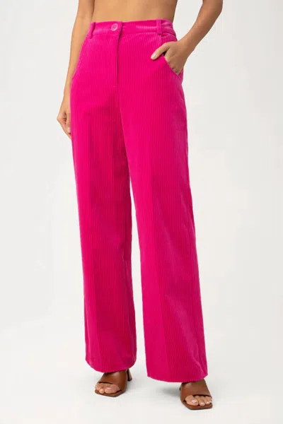 Trina Turk Brooklyn Pants In Hot Pink