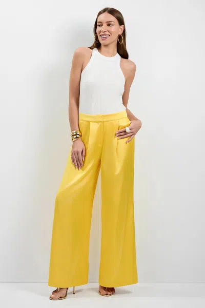 Trina Turk Pontaccio Pant In Multi