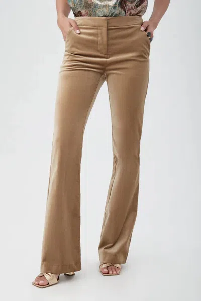 Trina Turk Westport Velveteen Bootcut Pants In Gold