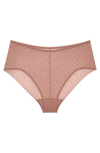 Triumph Signature Sheer Brief Panties In Brown