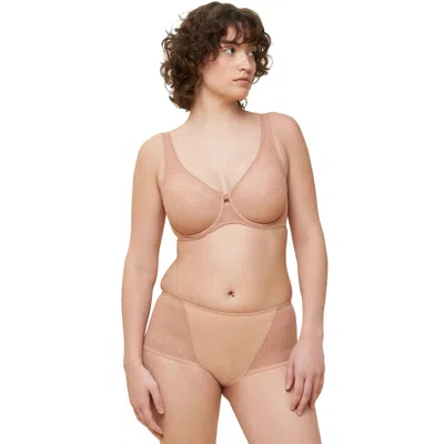 Triumph Wild Rose Sensation W01 In Multi