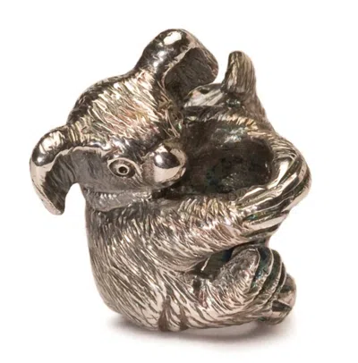 Trollbeads Women's Koala Bead Charm In Silver In Brown