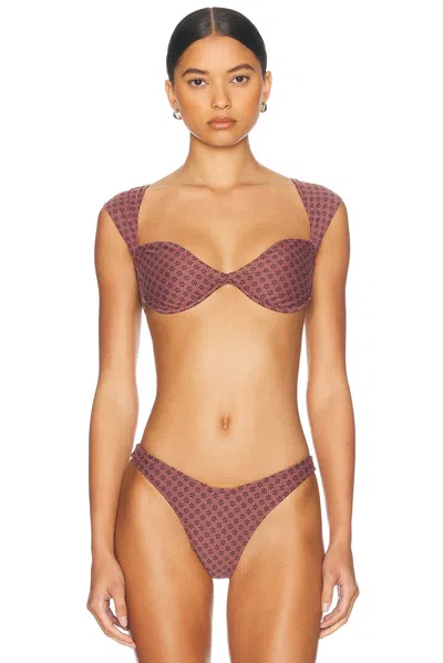 Tropic Of C Bella Bikini Top In Daisy Driftwood