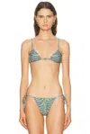 Tropic Of C Equator Bikini Top In Green