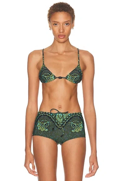 Tropic Of C Equator Bikini Top In Green