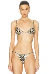 Tropic Of C Equator Bikini Top In Baby Cheetah