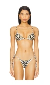 Tropic Of C Equator Bikini Top In Baby Cheetah