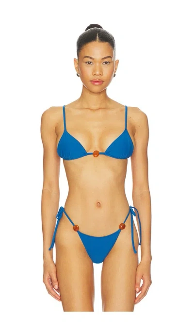 Tropic Of C Equator Bikini Top In Blue
