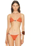 Tropic Of C Equator Bikini Top In Brown