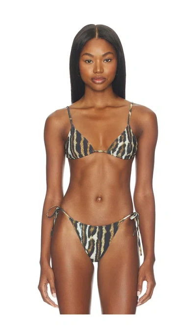 Tropic Of C Equator Bikini Top In Brown