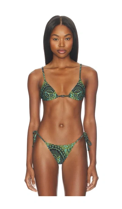 Tropic Of C Equator Bikini Top In Green
