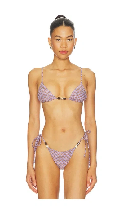 Tropic Of C Equator Bikini Top In Pink