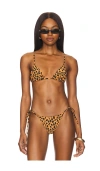 Tropic Of C Equator Bikini Top In Spotted Amber