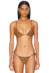 Tropic Of C Equator Bikini Top In Spotted Amber