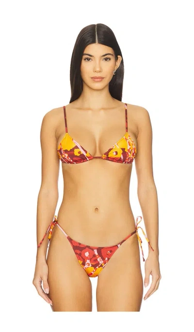 Tropic Of C Equator Triangle Bikini Top In Multi