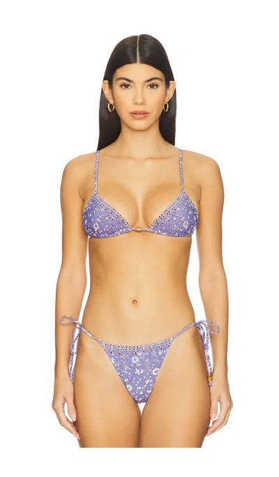 Tropic Of C Equator Triangle Bikini Top In Purple