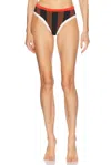 Tropic Of C La Plage Bikini Bottom In Brown & Black Stripe