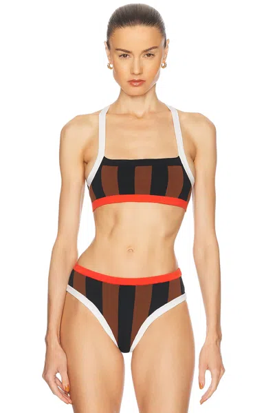 Tropic Of C La Plage Bikini Top In Brown & Black Stripe