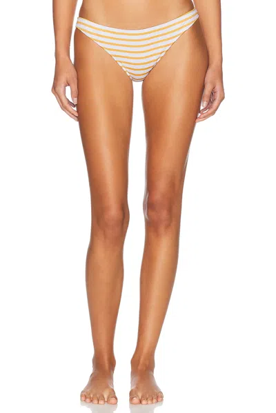 Tropic Of C Lo Bikini Bottom In Seersucker Stripe