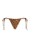 Tropic Of C Praia Bikini Bottom