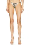 Tropic Of C Praia Bikini Bottom In Baby Cheetah