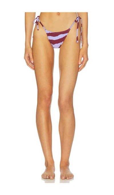 Tropic Of C Praia Bikini Bottom In Brown