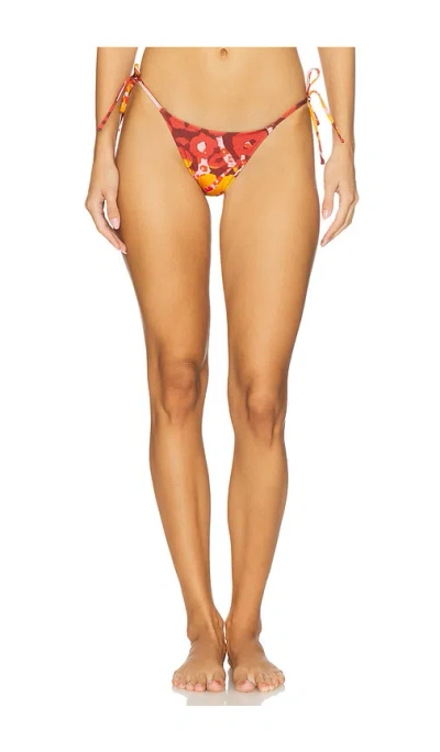 Tropic Of C Praia Bikini Bottom In Multi