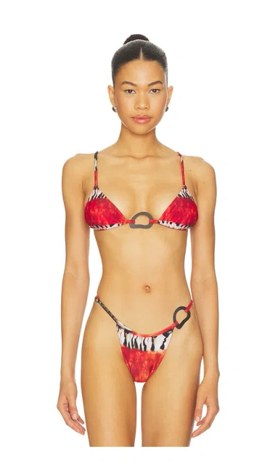 Tropic Of C Shell Equator Bikini Top In Red