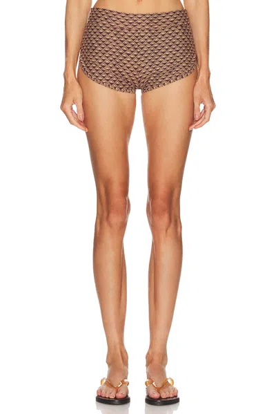 Tropic Of C Swim Short In Brown