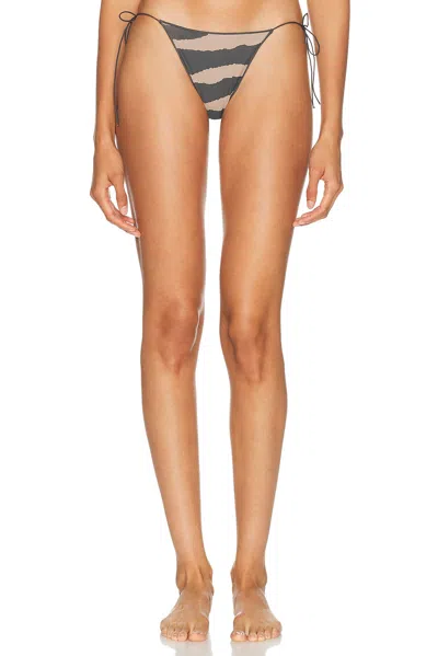 Tropic Of C The C Bikini Bottom In Black