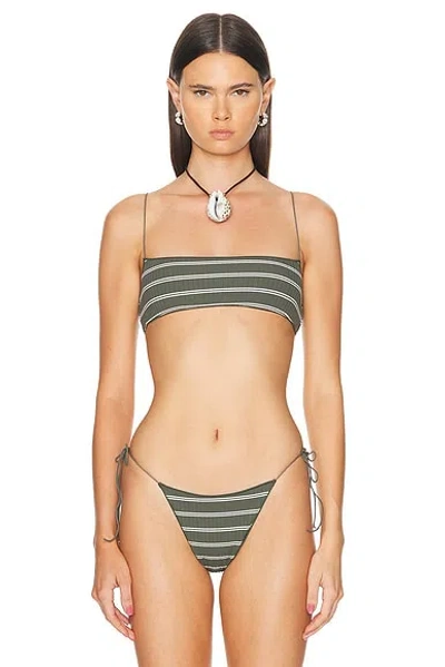 Tropic Of C The C Bikini Bralette In White & Olive Stripe Rib