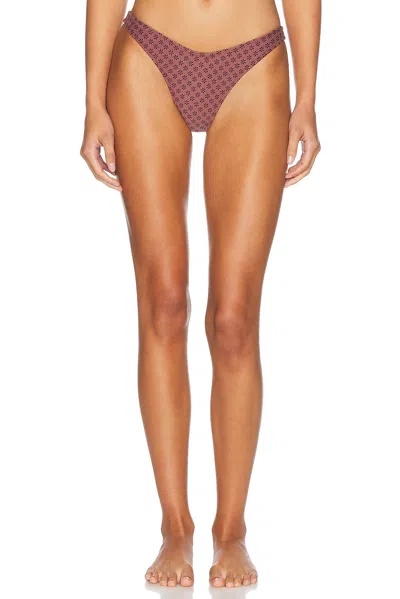 Tropic Of C Ursula Bikini Bottom In Daisy Driftwood